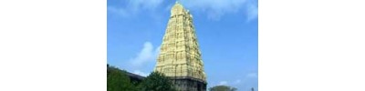 49. திருநிலாத்திங்கள் துண்டம் (ஏகாம்பரநாதர் கோயில்)